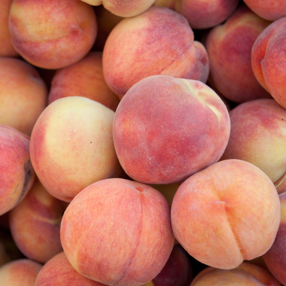 Closeup of Genuine Georgia peaches